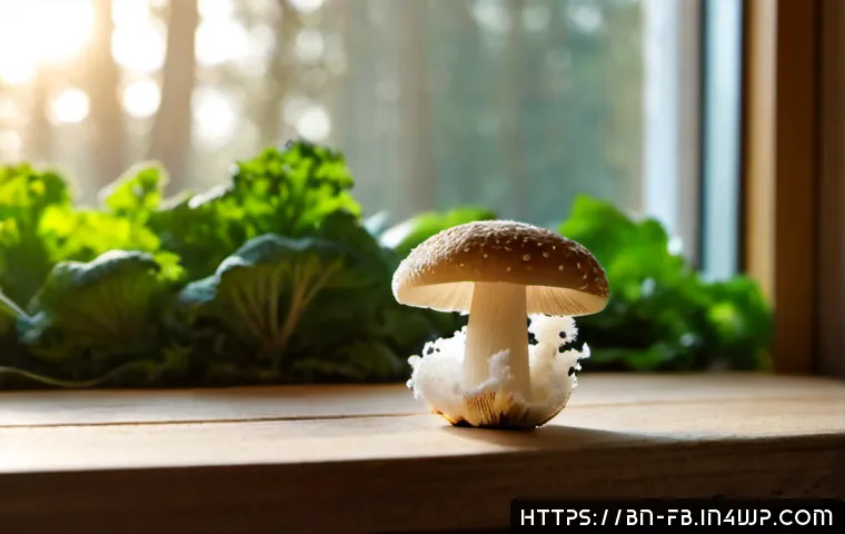 버섯 소재의 환경적 장점 - Photorealistic close-up of biodegradable mushroom-based packaging cradling fresh produce on a simple...